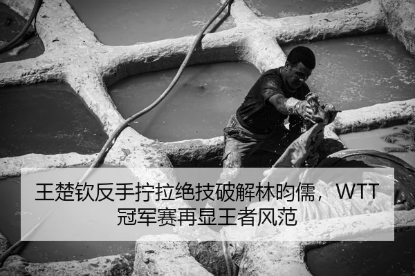 王楚钦反手拧拉绝技破解林昀儒，WTT冠军赛再显王者风范